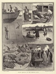 Pearl Fishing in the Persian Gulf